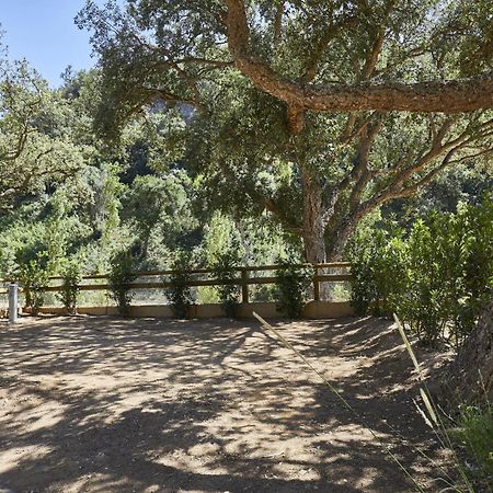 Pola Giverola Camp 滨海托萨 外观 照片