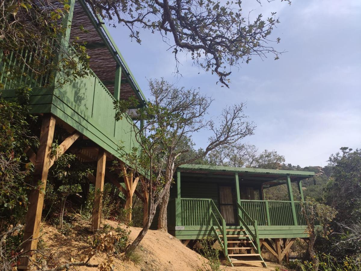 Pola Giverola Camp 滨海托萨 外观 照片