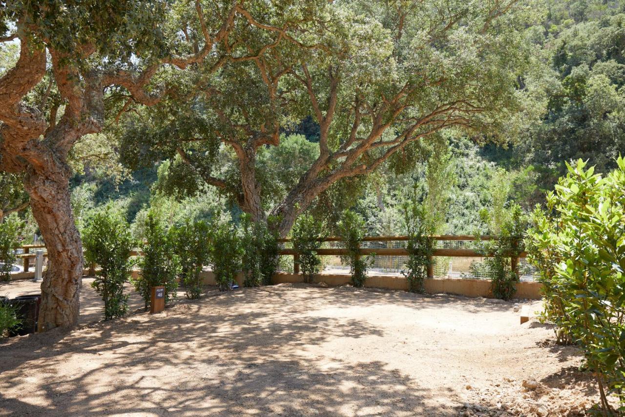 Pola Giverola Camp 滨海托萨 外观 照片
