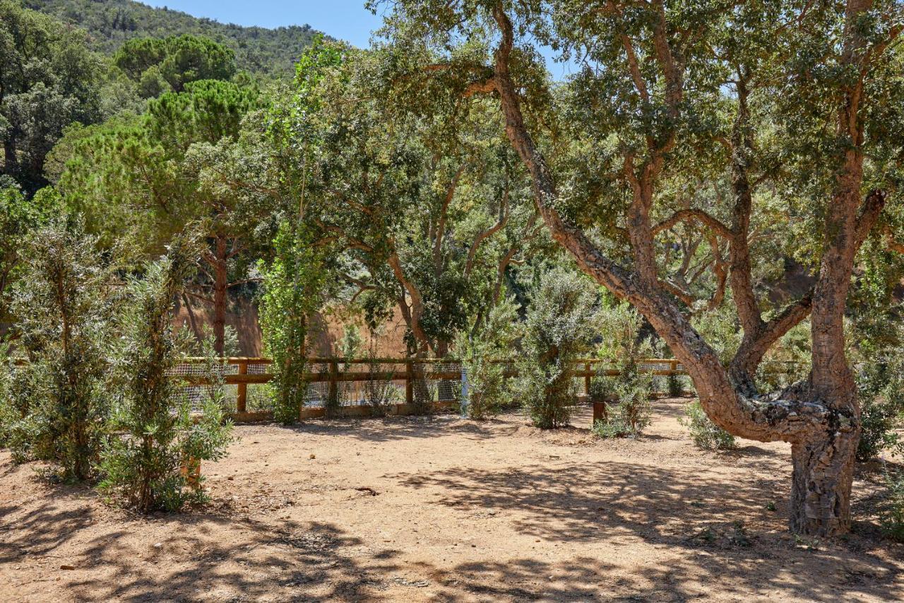 Pola Giverola Camp 滨海托萨 外观 照片